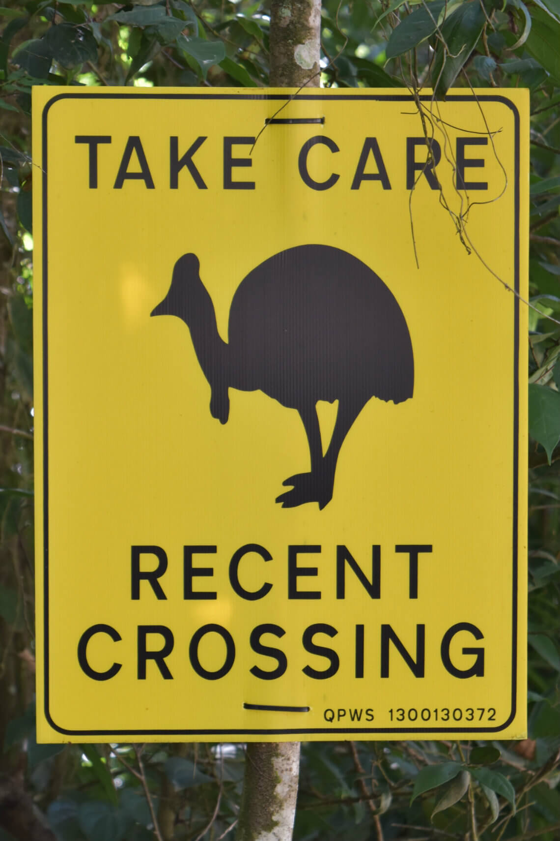 Take Care Recent Crossing Sign