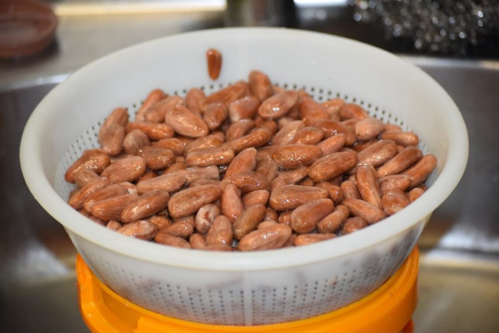 Fermented Cacao Beans