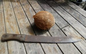 Mature Coconut with Machete