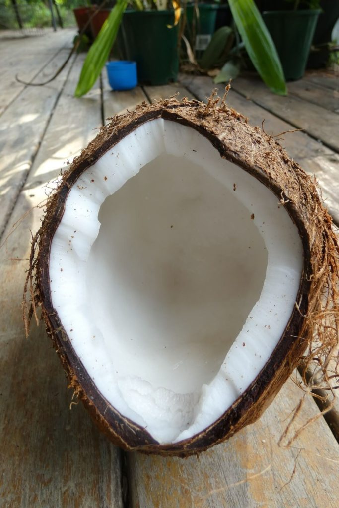 Freshly Cracked Coconut on Deck